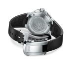 01 735 7734 4185-Set RS – Oris Staghorn Restoration Limited Edit