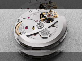 Oris