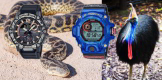 Casio G-shock