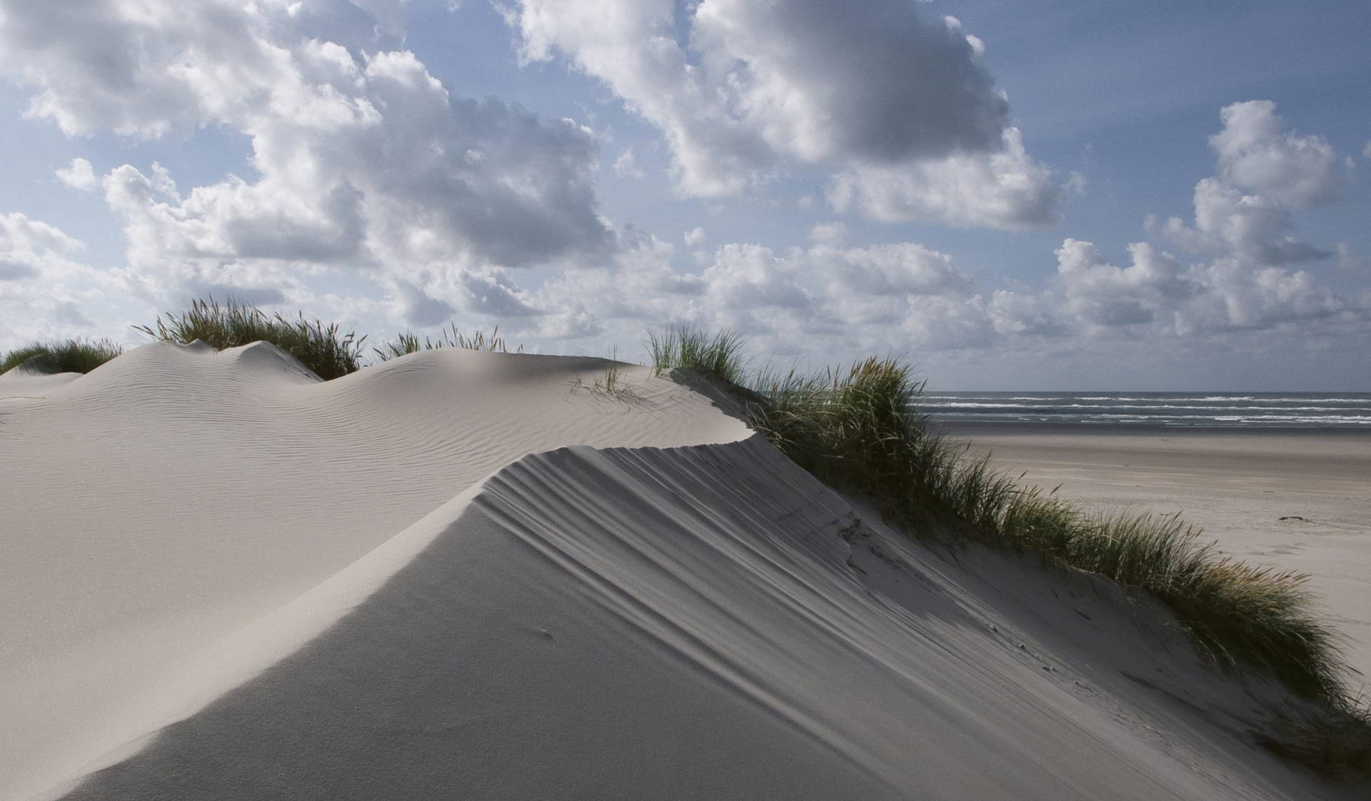 Oris Aquis Dat Watt Wadden Sea