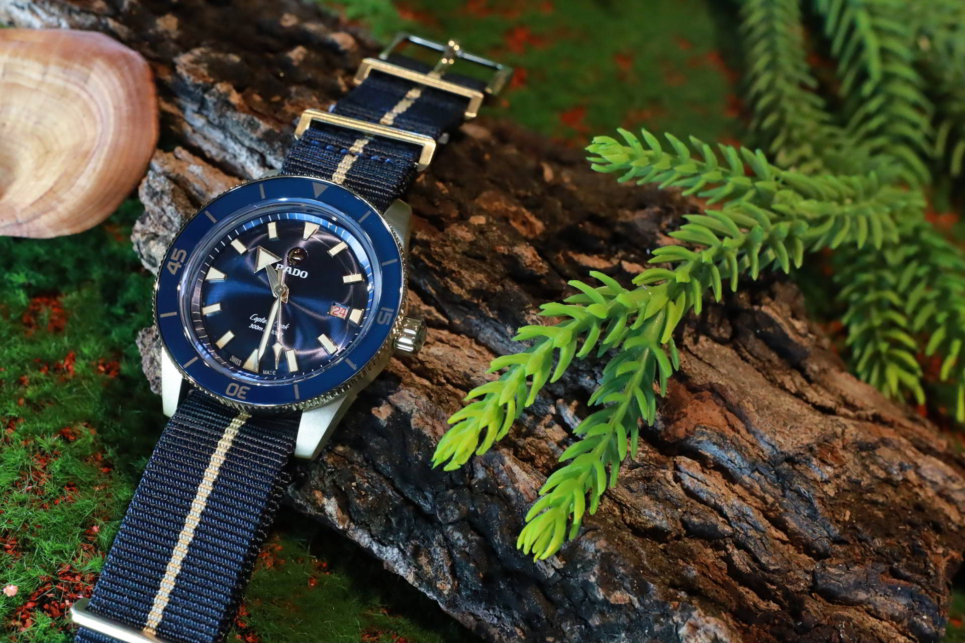 RADO NOVELTIES 2021