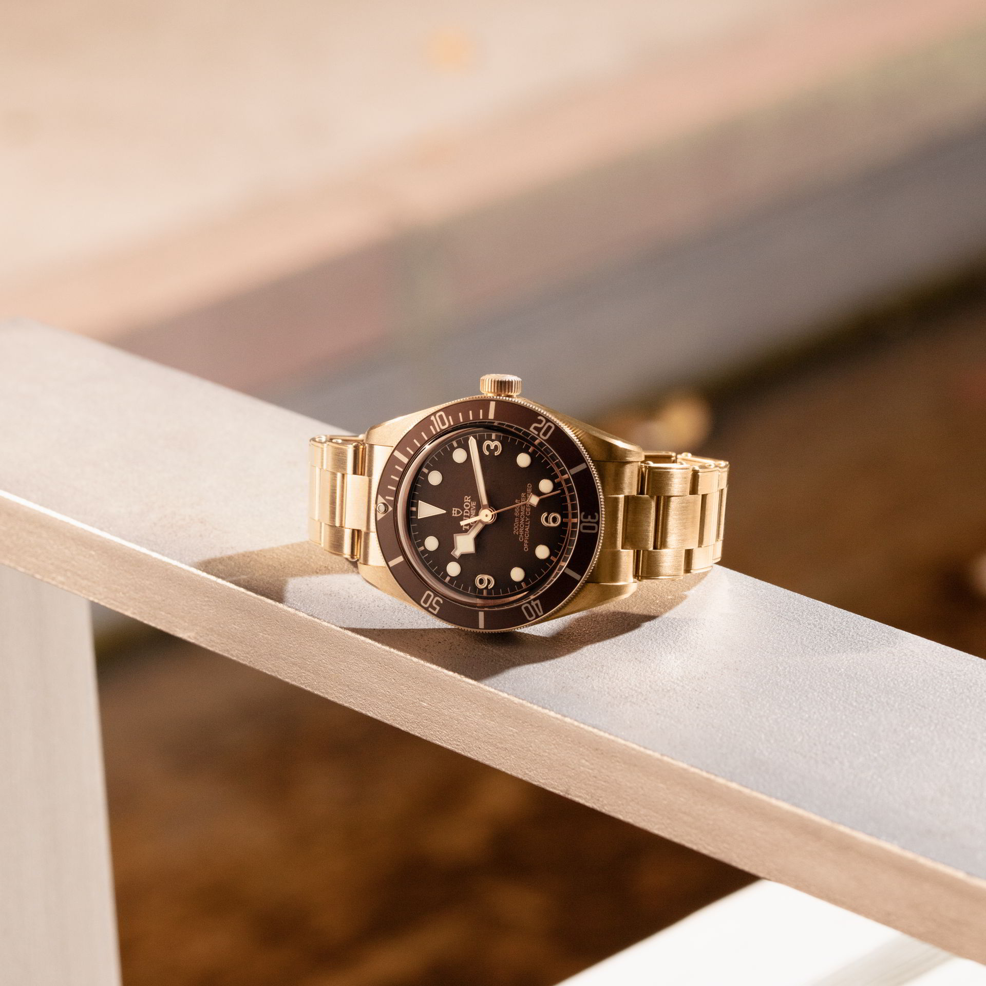 Tudor Black Bay Fifty-Eight Bronze