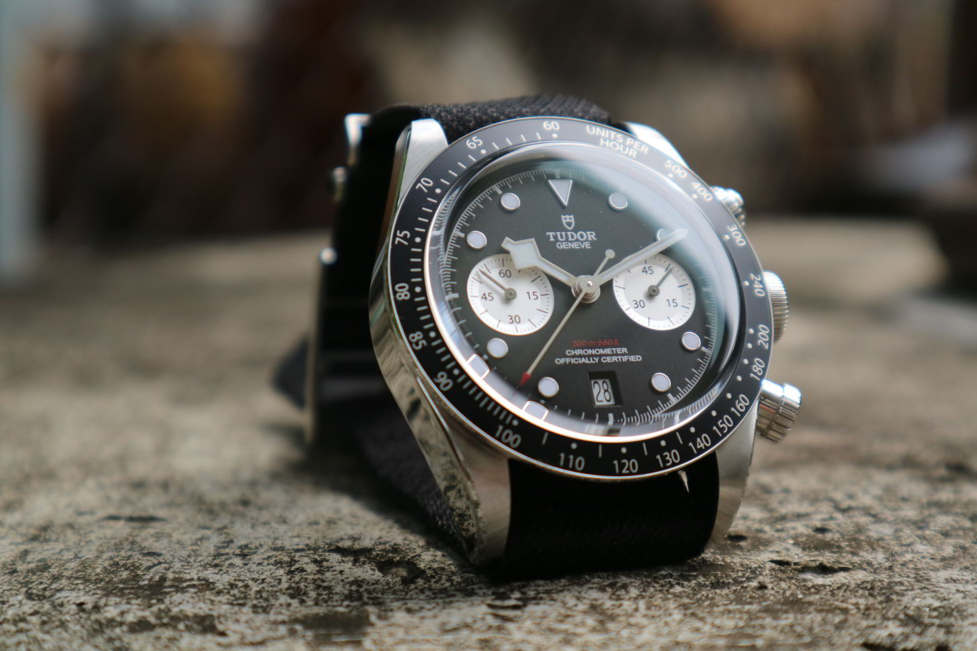 Tudor Black Bay Chrono Panda Dial