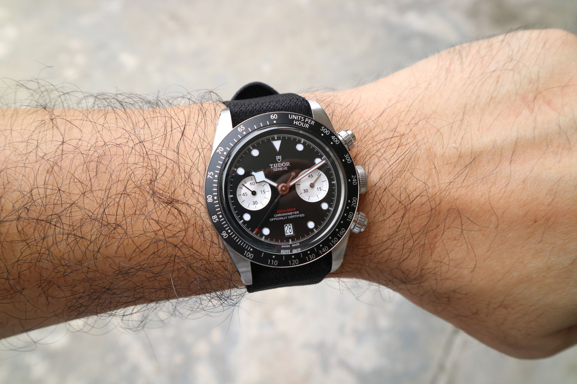 Tudor Black Bay Chrono Panda Dial