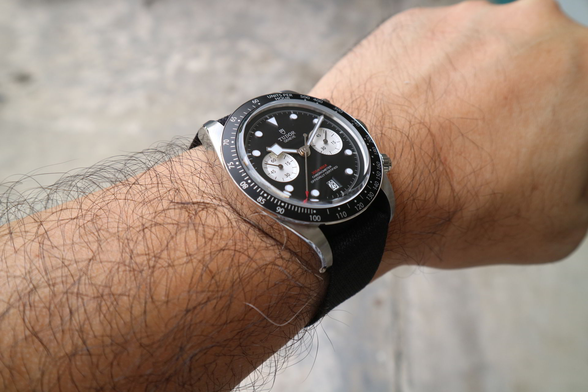 Tudor Black Bay Chrono Panda Dial
