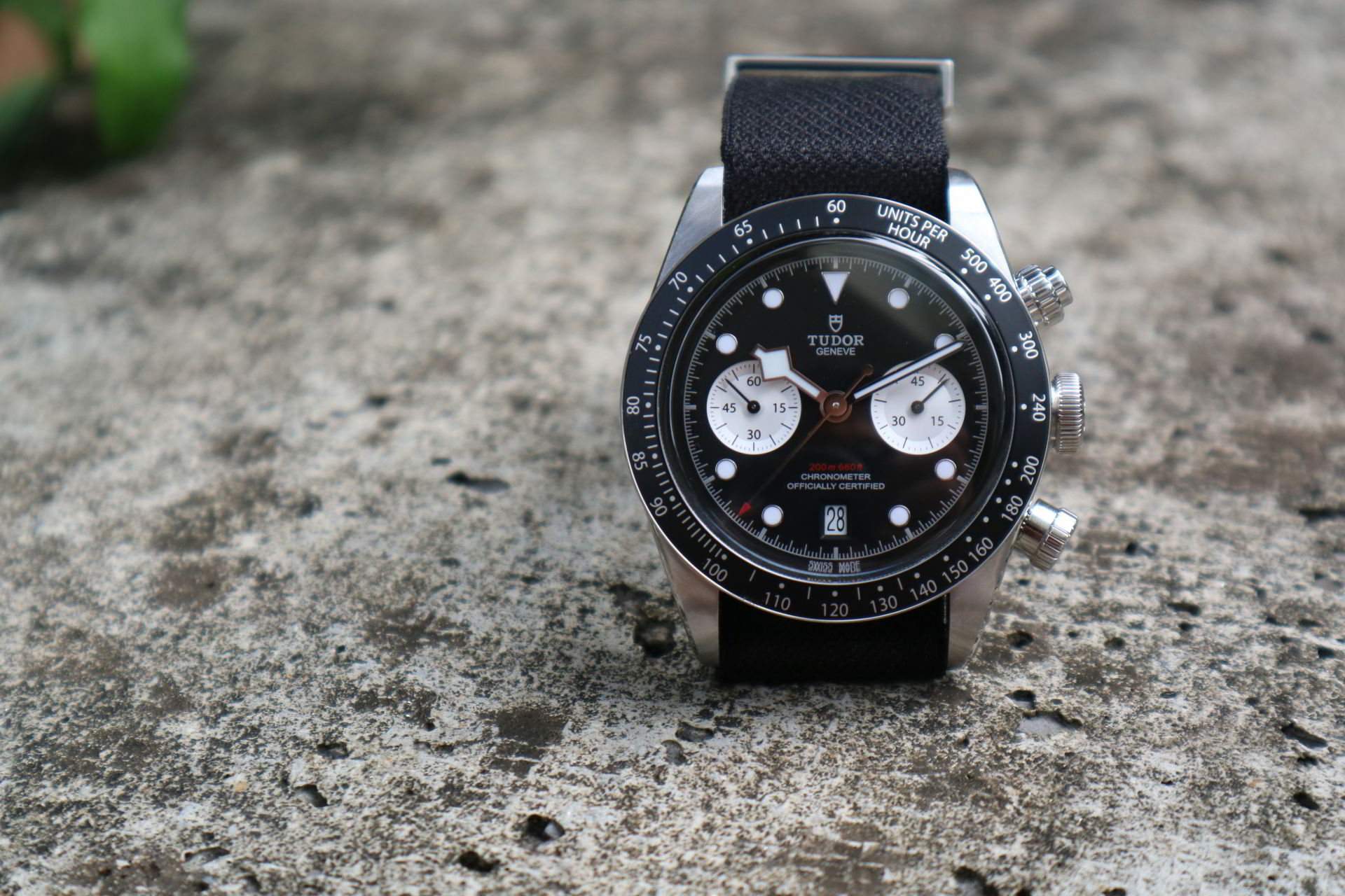 Tudor Black Bay Chrono Panda Dial