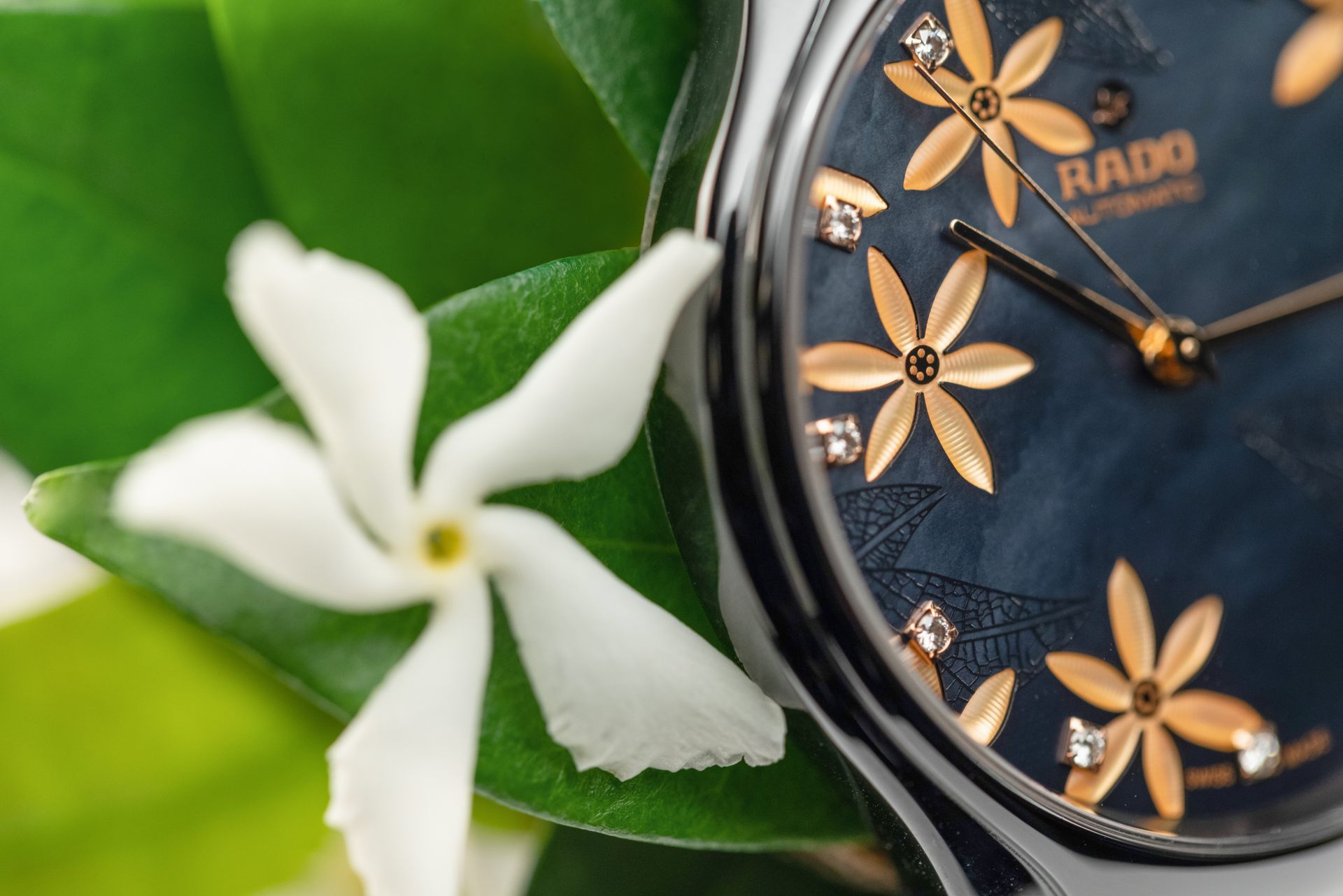 Rado True x Great Gardens of the World