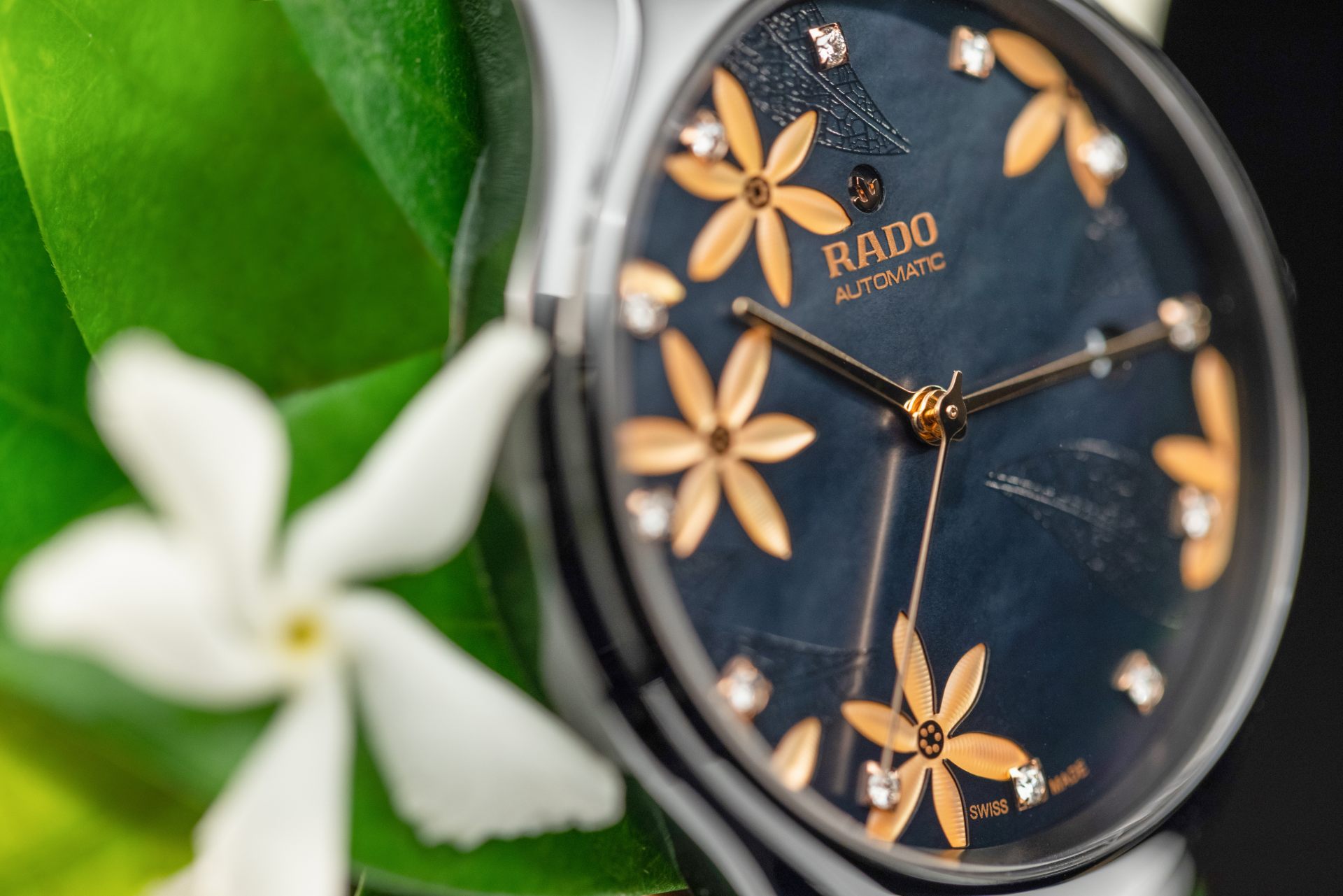 Rado True x Great Gardens of the World