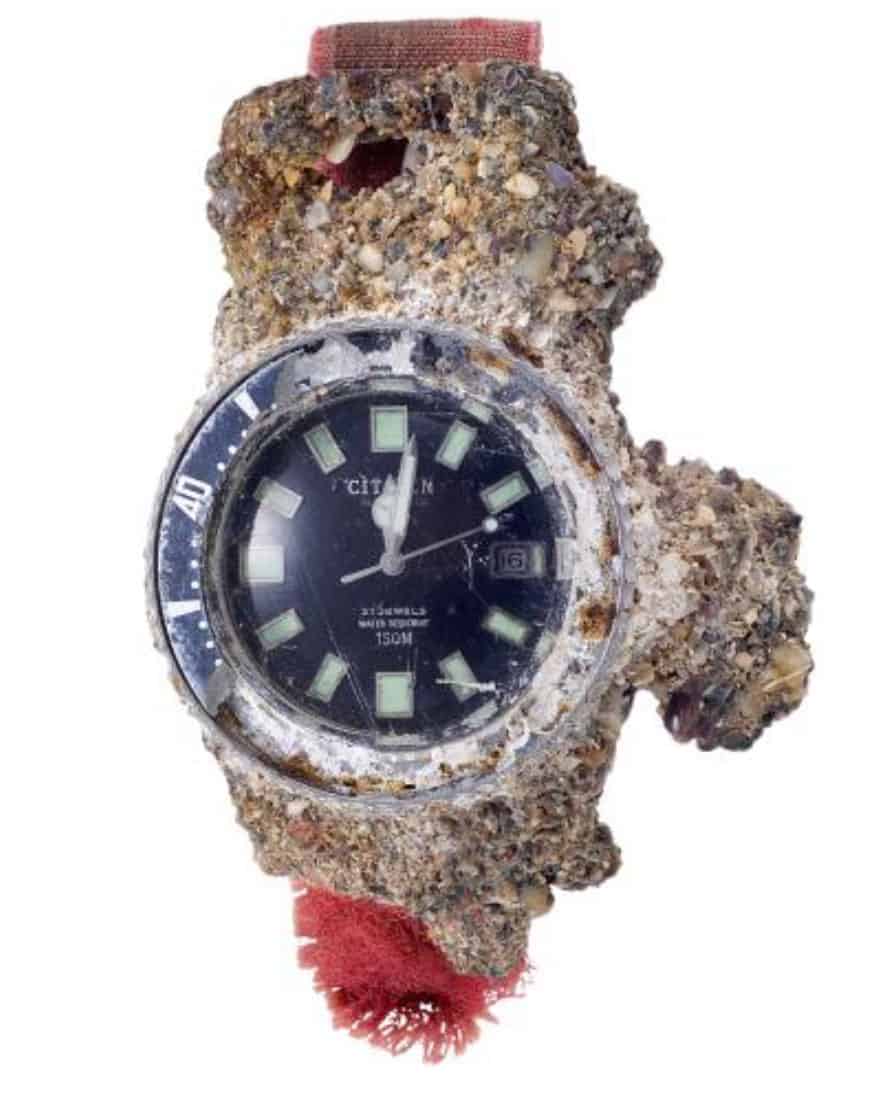 Citizen Promaster Mechanical Diver 200M NB6021