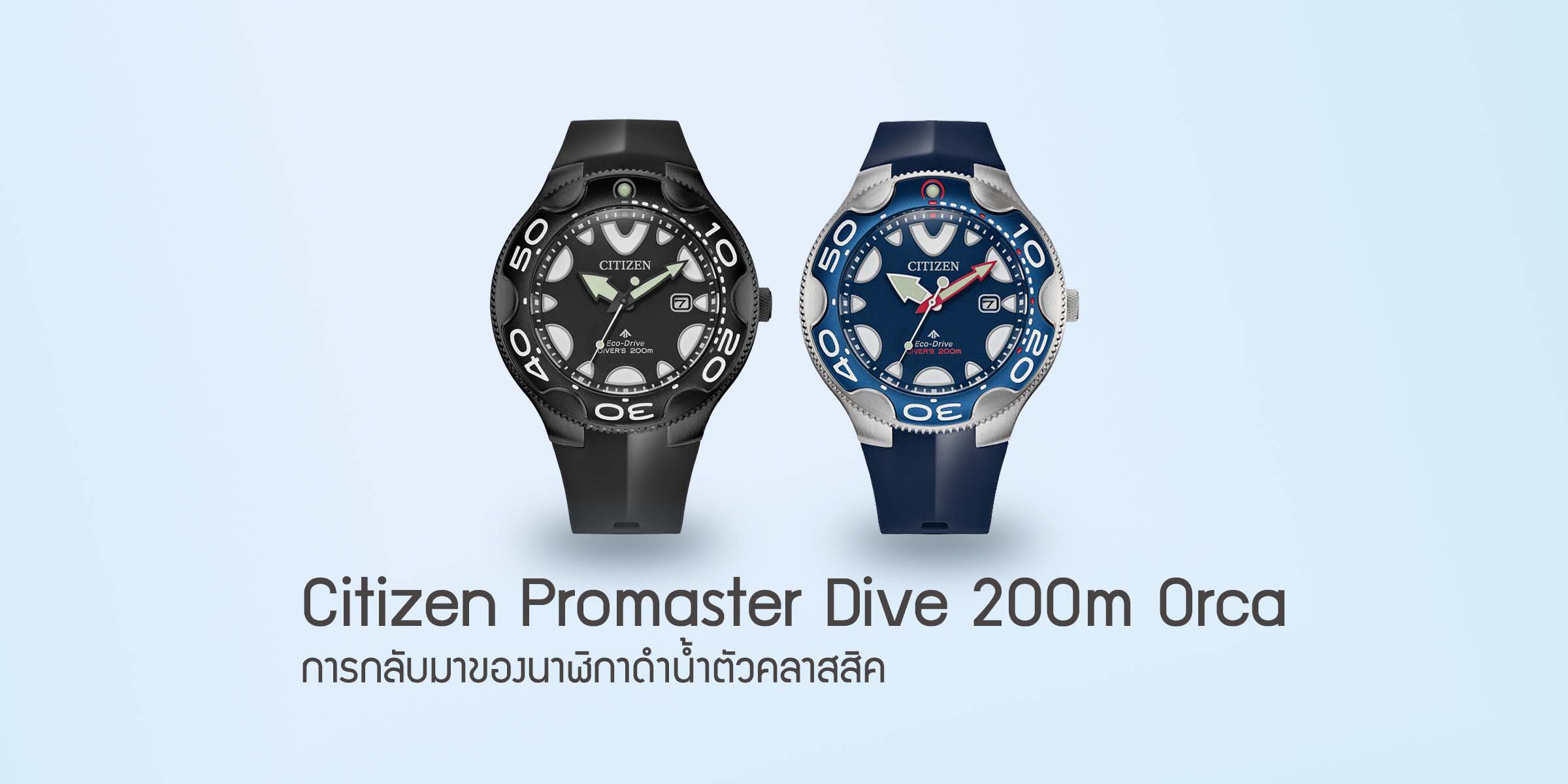 Citizen Promaster Dive 200m Orca