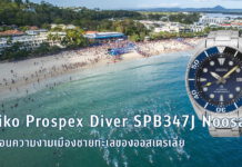 Seiko Prospex Diver SPB347J Noosa