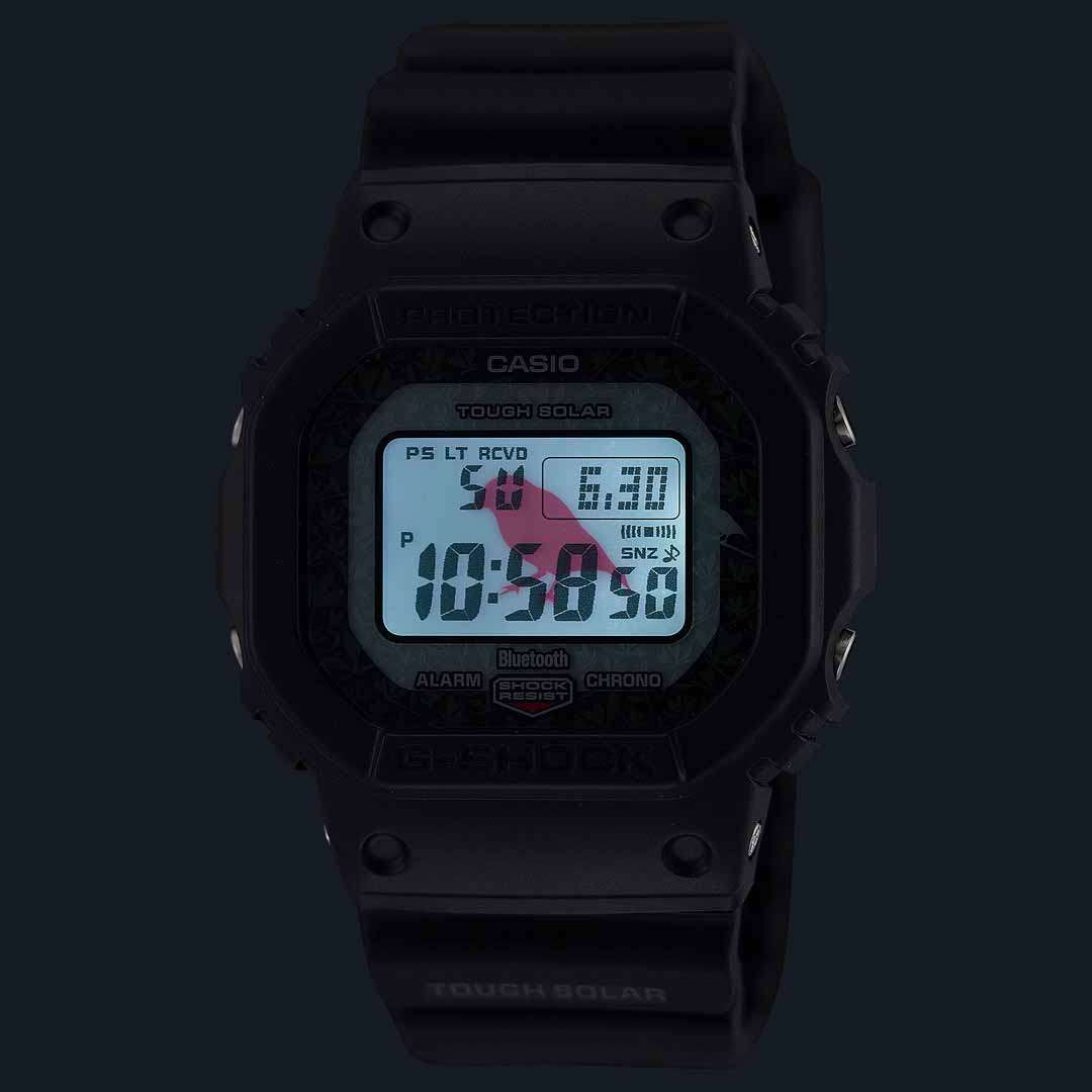 Casio G-SHOCK GW-B5600CD Charles Darwin Foundation