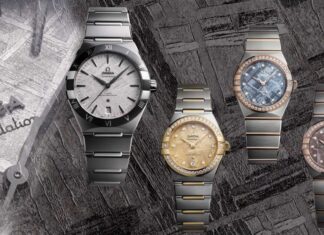 OMEGA Constellation Meteorite