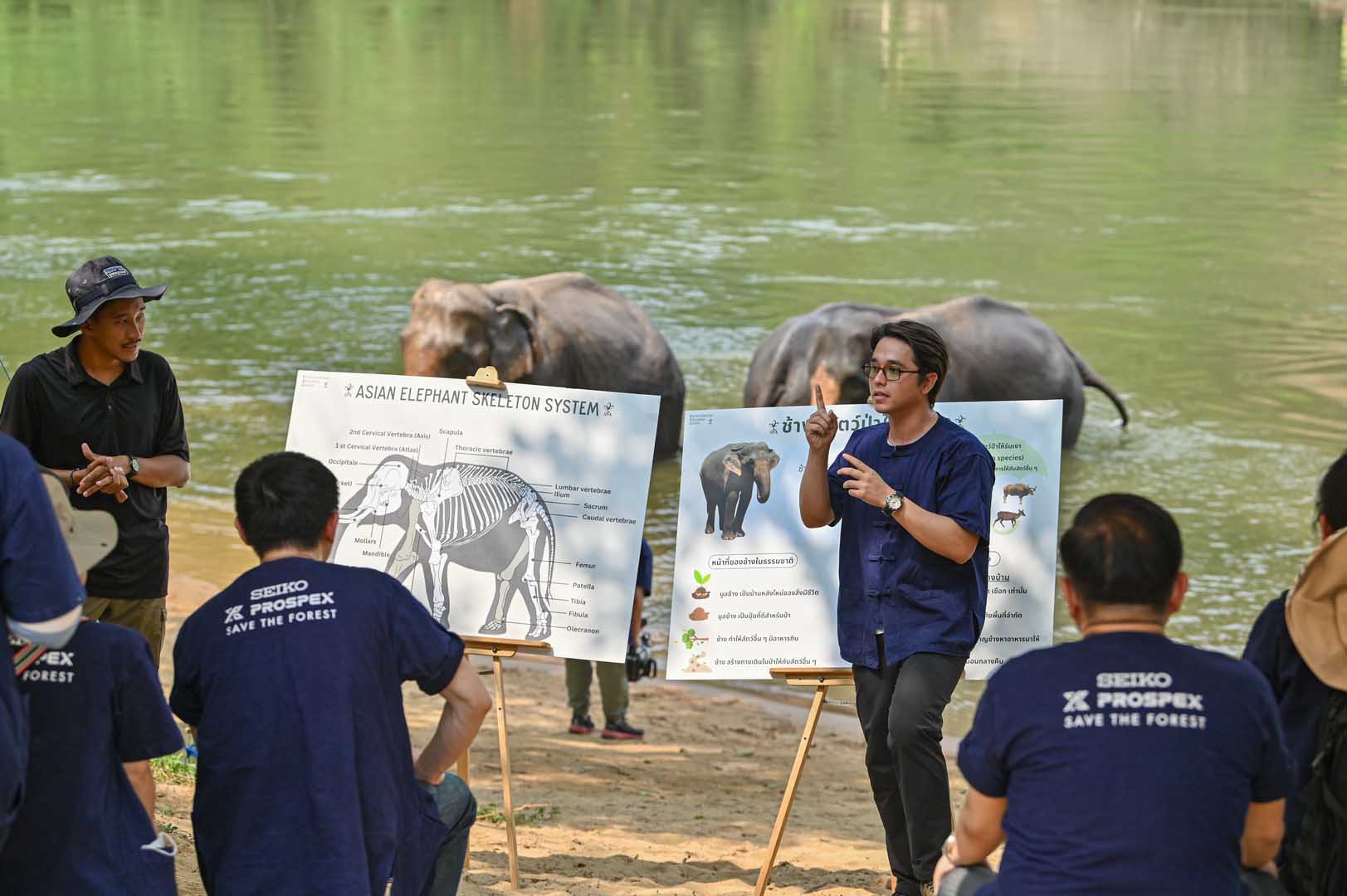 Seiko ‘Save the Forest to Save Our Elephants’