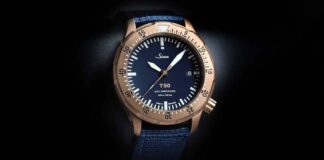 Sinn T50 Goldbronze B