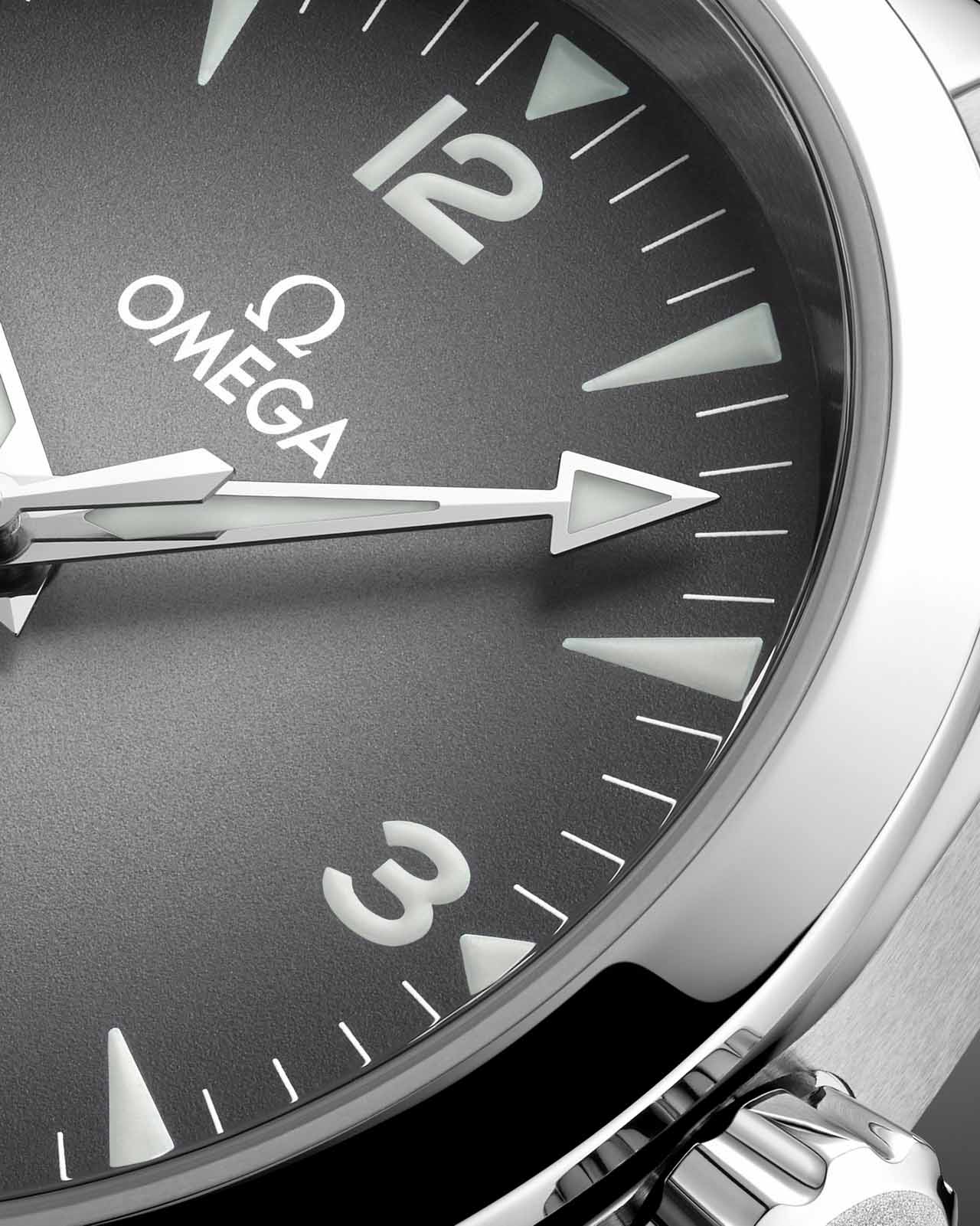 OMEGA Railmaster