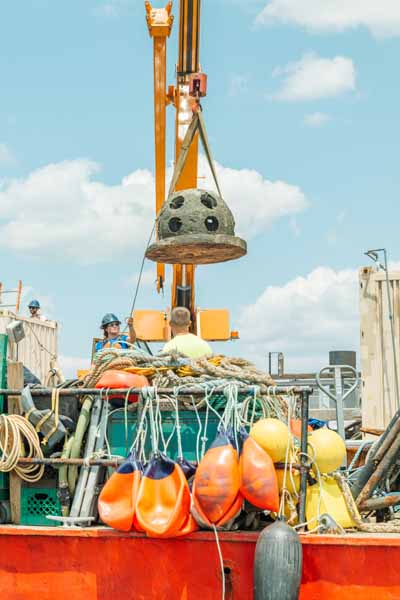 Billion Oyster Project - ORIS New York Harbor II