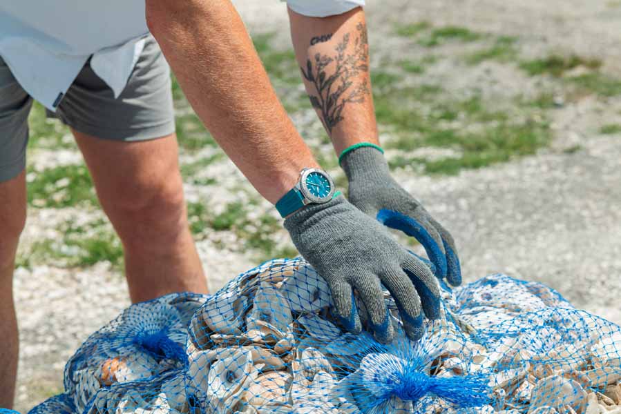 Billion Oyster Project - ORIS New York Harbor II