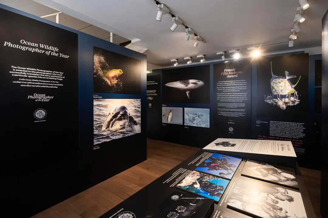 Blancpain จัดงาน Ocean Photographer of the Year 2025 รวมภาพนิทรรศการ,Ocean Photographer of the Year 2025, Blancpain, นิทรรศการภาพถ่าย, Central Embassy, อนุรักษ์มหาสมุทร, Fifty Fathoms