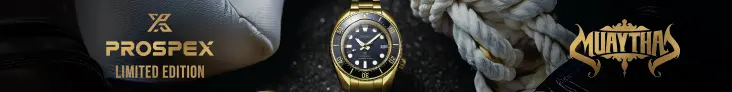 Tag_Seiko_PSX_Muay_Thai