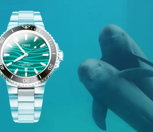 ORIS Yangtze Jiangtun Limited Edition 43.5mm-Diver-Watch-Stainless-Steel