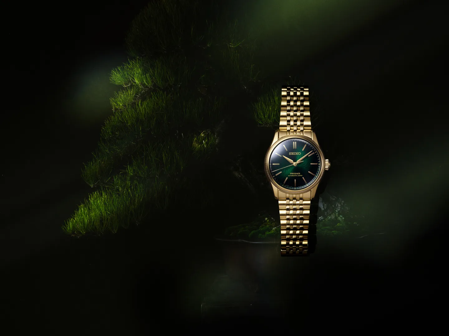 Seiko Presage TRADMAN’S BONSAI Limited Edition รหัส HCC009J สะท้อนความงามของโลกบอนไซ TRADMAN’S BONSAI กลุ่มครีเอทีฟบอนไซจากโตเกียว ร่วมงานกับ Seiko