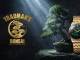 นาฬิกา Seiko Presage TRADMAN’S BONSAI Limited Edition รหัส HCC009J ตัวเรือนสีทอง